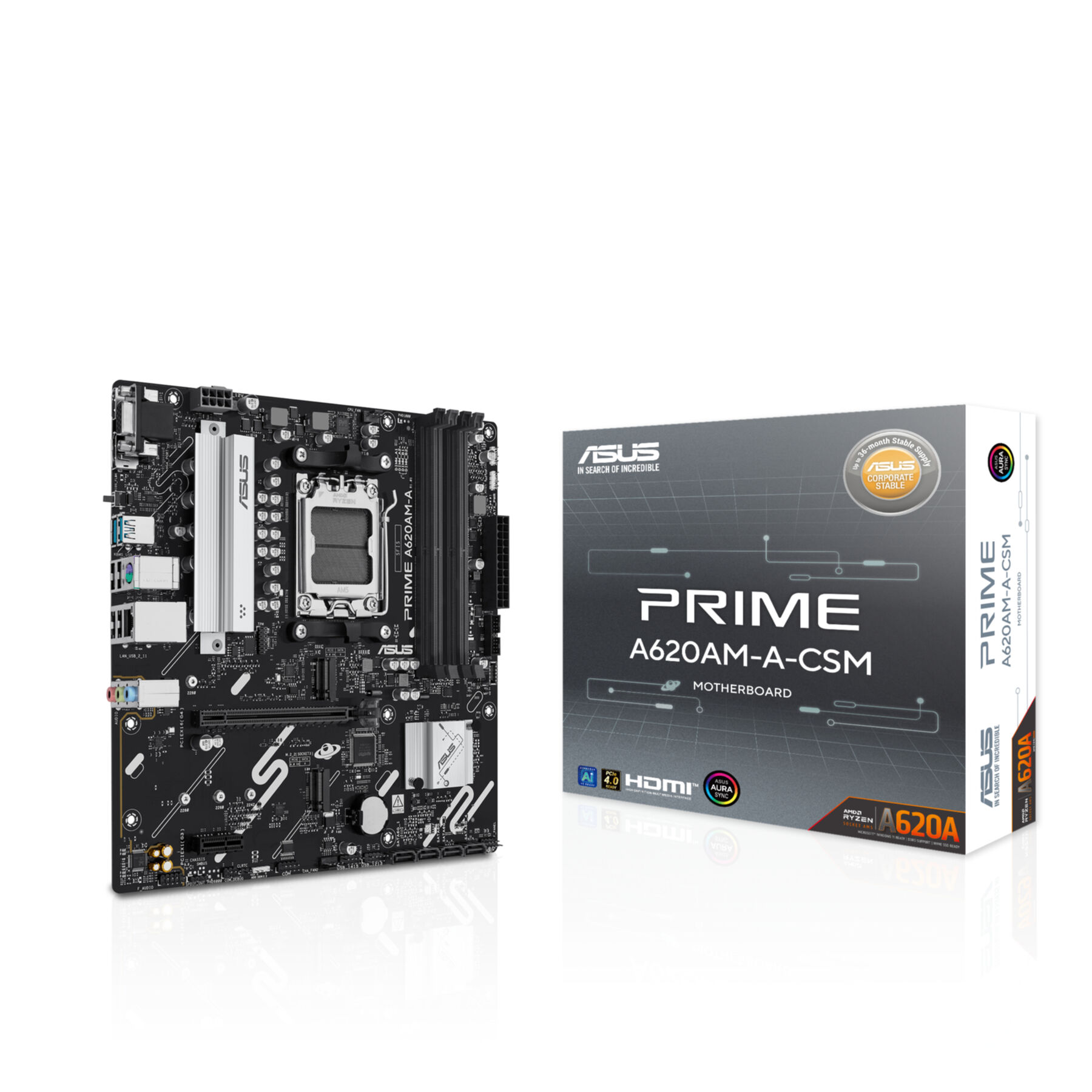 ASUS Prime A620AM-A-CSM (AM5) (D)