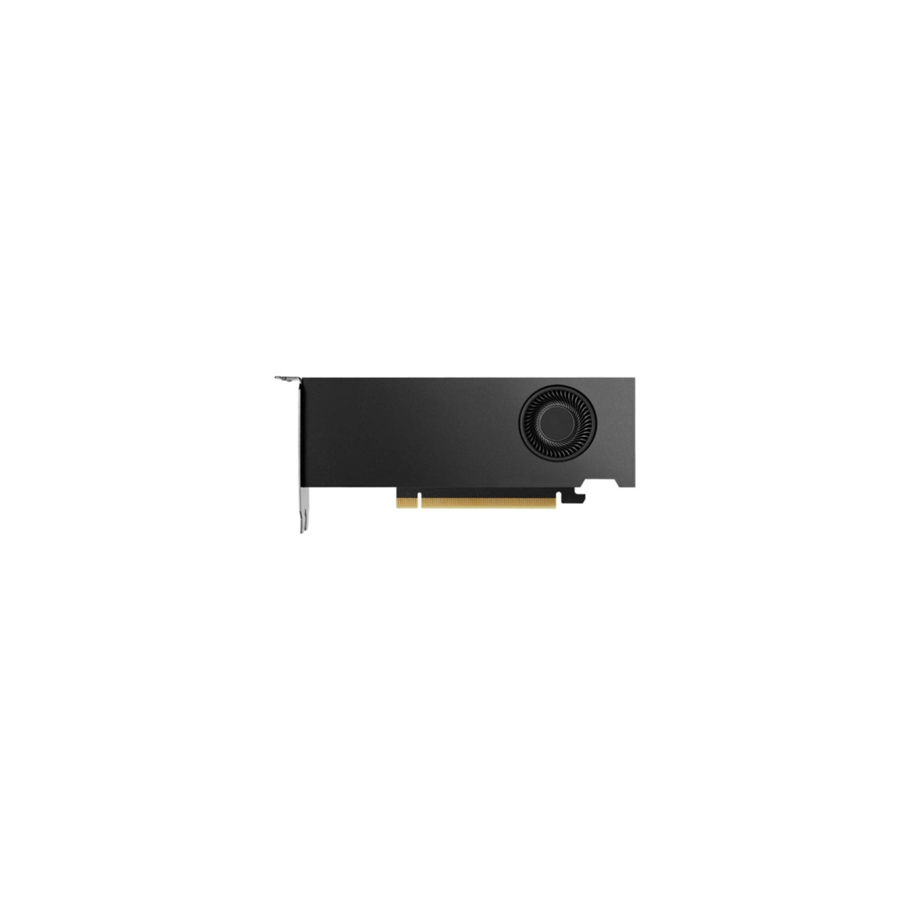 VGA Nvidia Quadro RTX 2000 Ada 16GB BULK