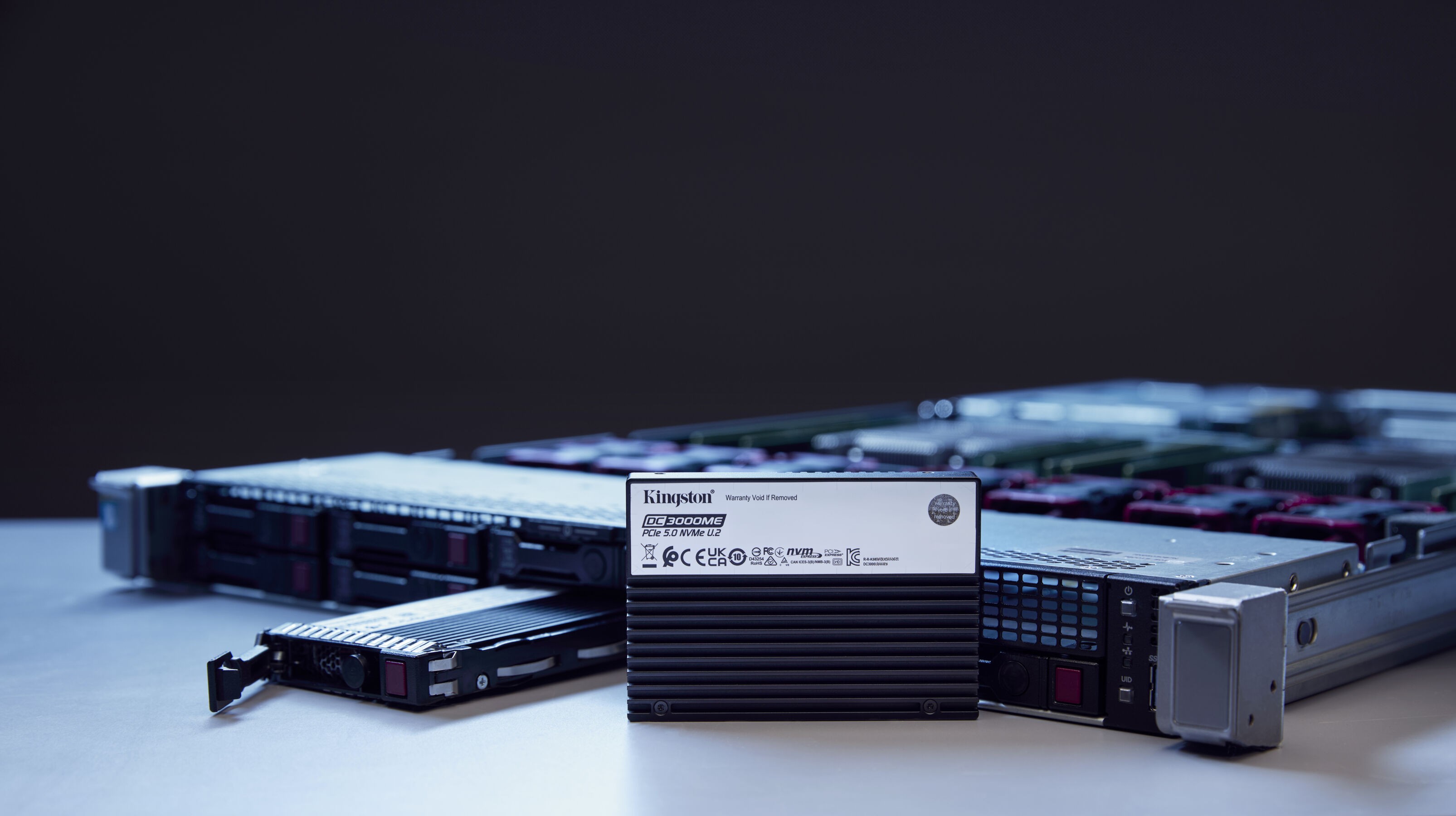 SSD Kingston DC3000ME 3,84 TB 2,5" Enterprise SEDC3000ME/3T8 U.2 PCIe 5.0 x4 (NVMe)